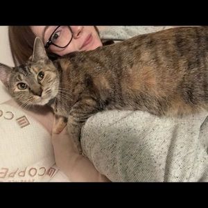 Meet your Posher, Amber